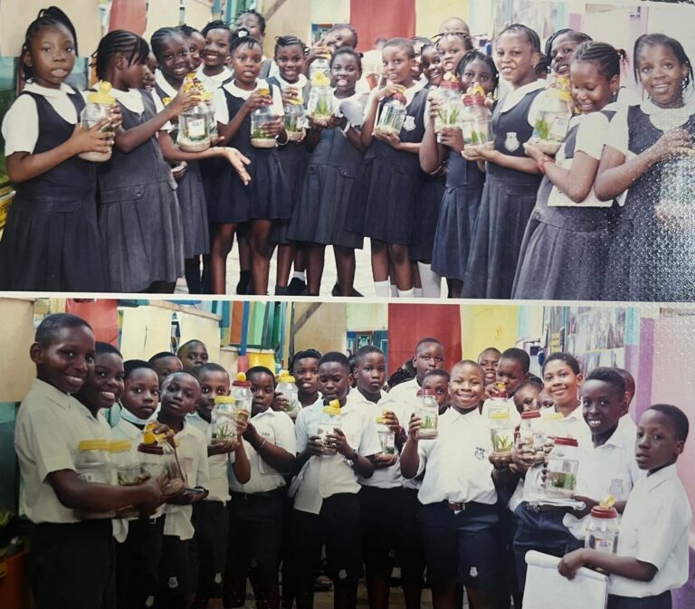 whatsapp image 2025 09 08 at 17.47.04 39ecd020